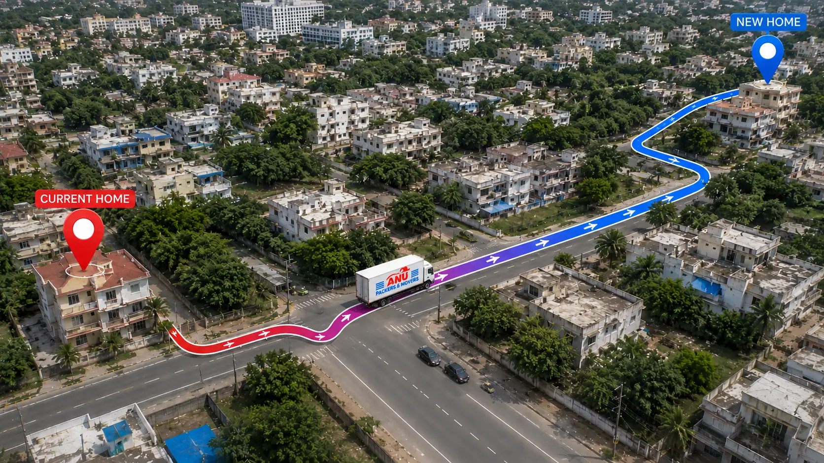 Local Shifting in Nellore